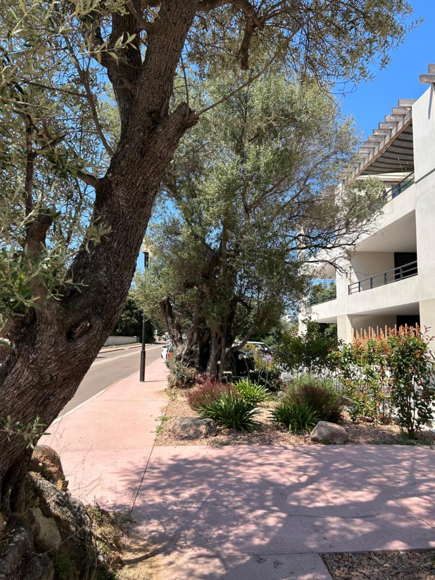 Sognu Di Serena - Superbe Appartement Avec Parking Gratuit Sur Place Porto-Vecchio  Exterior photo